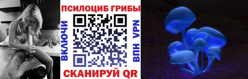 Псилоцибиновые грибы мухоморы  mega онион  Коломна 